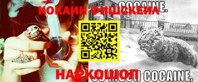скорость Новодвинск