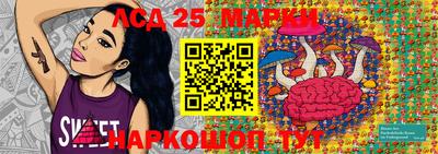 СК Новозыбков