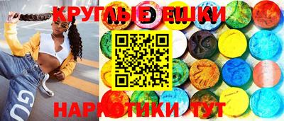 СК Новозыбков