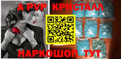 СК Новозыбков